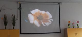 20220325_143200_HDR(1)_1